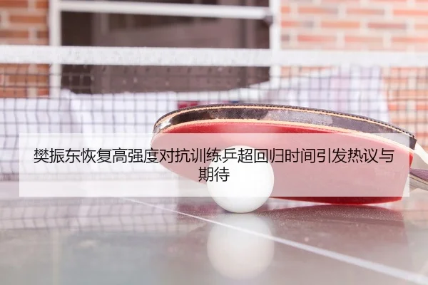 樊振东恢复高强度对抗训练乒超回归时间引发热议与期待